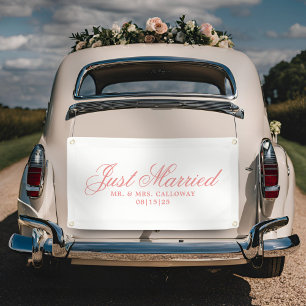 Lona Cartel de coche de Fancy Just Casried