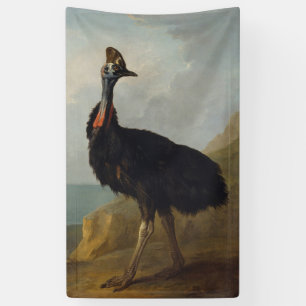 Lona Cassowary (pájaro australiano) (Arte de animales s