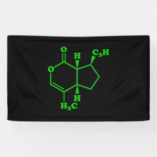 Lona Catnip Nepetalactona Fórmula Química Molecular