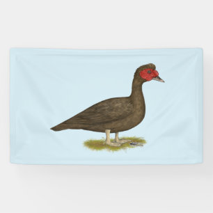 Lona Chocolate Muscovy Drake
