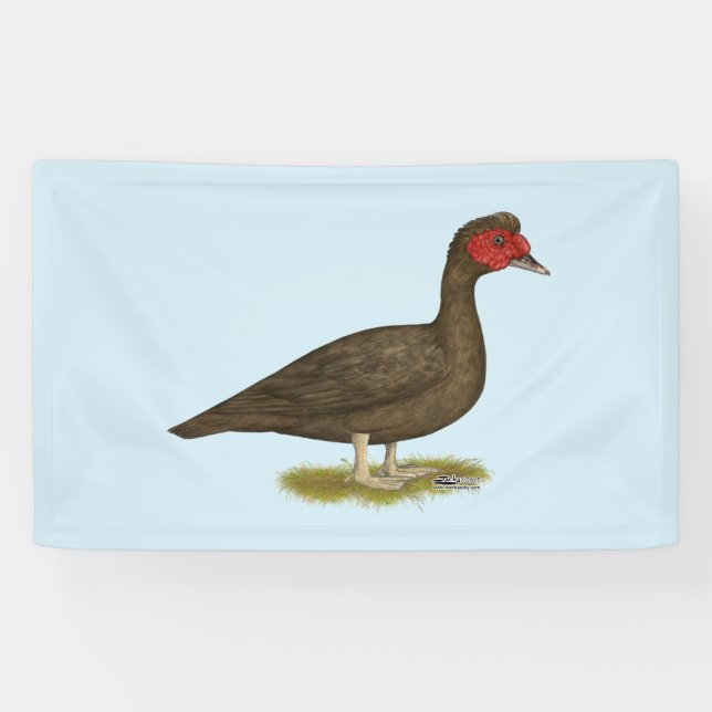 Lona Chocolate Muscovy Drake (Horizontal)