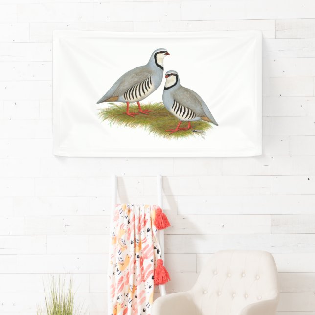 Lona Chukar Partridge Pair (In situ)