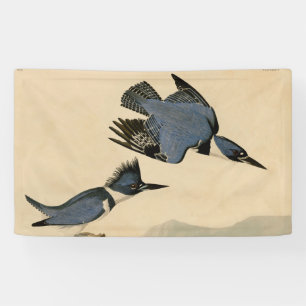 Lona Cinturón de Audubon Martín Pescador Vintage Natura