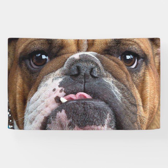 Lona Cojín decorativo de Bulldog inglés (Horizontal)