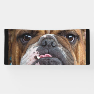 Lona Cojín decorativo de Bulldog inglés