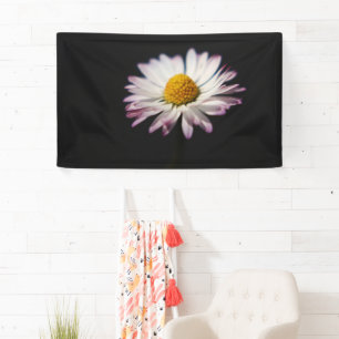 Lona Common Daisy Bnra