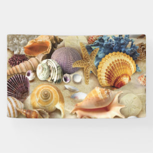 Lona conchas marinas en la playa