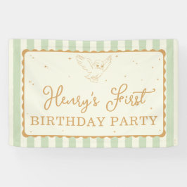Lona Cumpleaños Harry Potter Hedwig Verde Raya