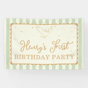Lona Cumpleaños Harry Potter Hedwig Verde Raya