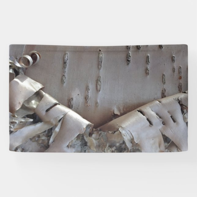 Lona Curly Birch Bark Tree Rustic (Horizontal)
