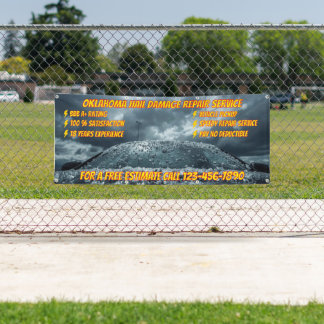 Lona Customize Vehicle Hail Damage Repair Business