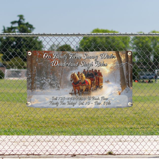 Lona Customize Winter Wonderland Snow Sleigh Ride Promo (in situ)