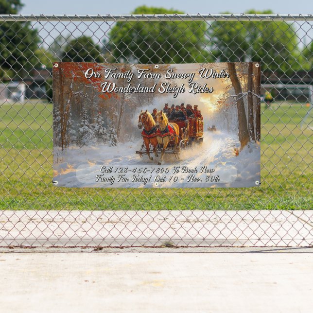 Lona Customize Winter Wonderland Snow Sleigh Ride Promo (In situ)