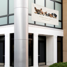 Cute Dogs Grooming Service Card