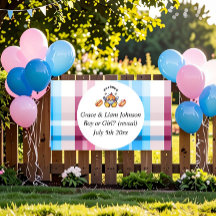 Cute Kawaii Baby-Q Gender Reveal Party 