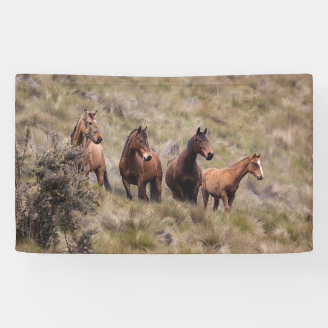 Lona de 3' x 5' (Horizontal)