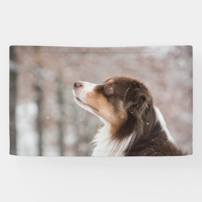 Lona de 3' x 5' (Horizontal)