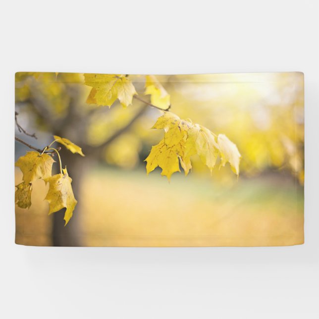 Lona de 3' x 5' (Horizontal)