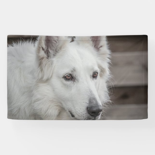 Lona de 3' x 5' (Horizontal)