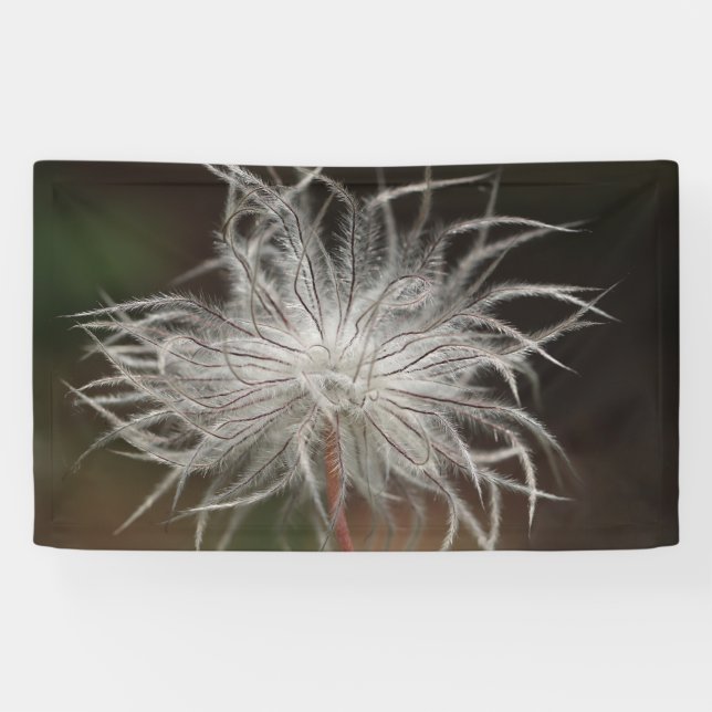 Lona de 3' x 5' (Horizontal)