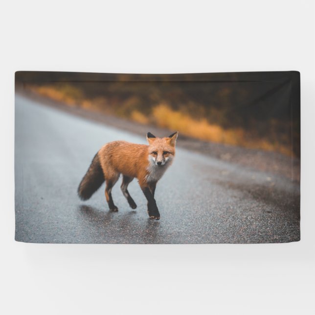 Lona de 3' x 5' (Horizontal)