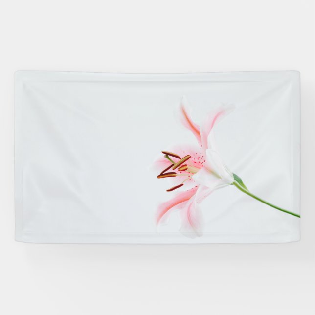 Lona de 3' x 5' (Horizontal)
