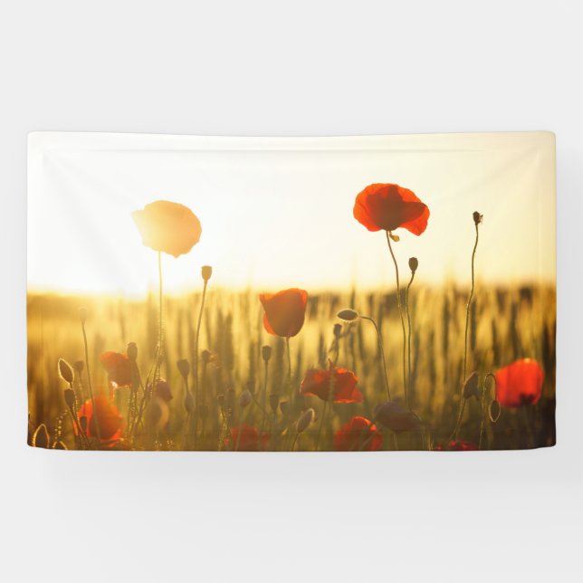 Lona de 3' x 5' (Horizontal)