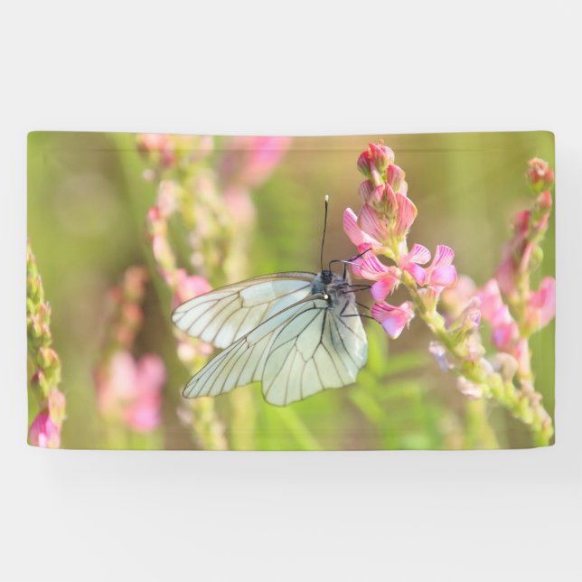 Lona de 3' x 5' (Horizontal)