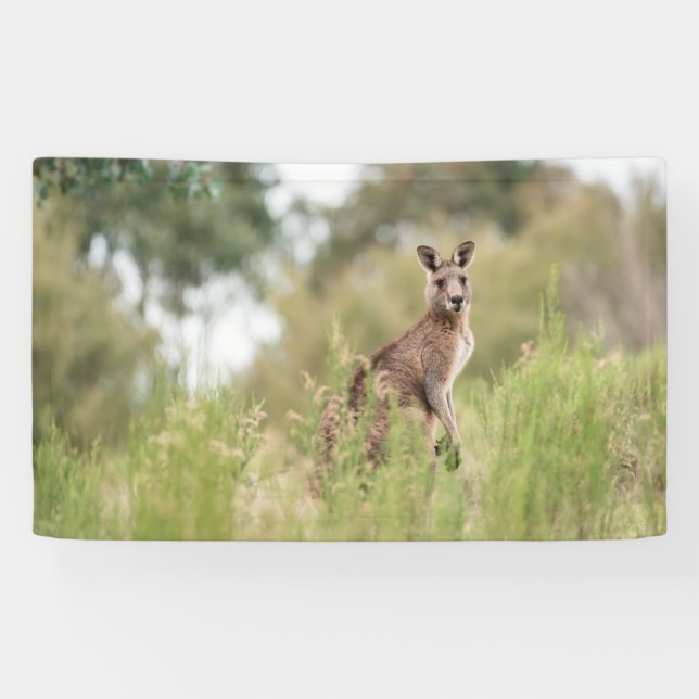 Lona de 3' x 5' (Horizontal)