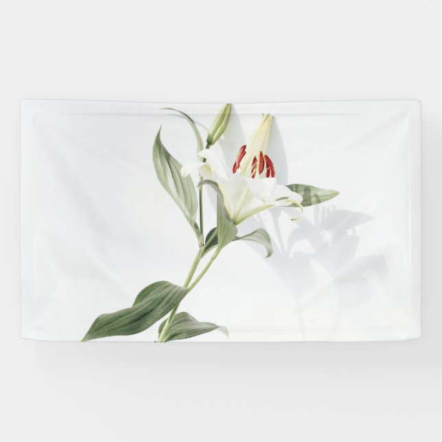 Lona de 3' x 5' (Horizontal)