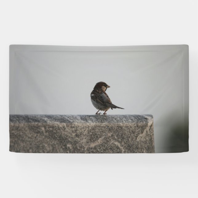 Lona de 3' x 5' (Horizontal)