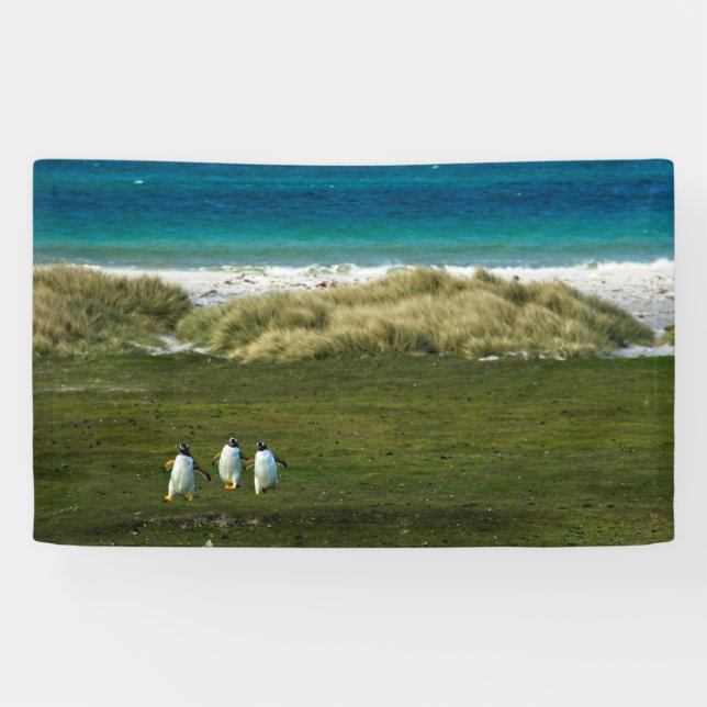 Lona de 3' x 5' (Horizontal)