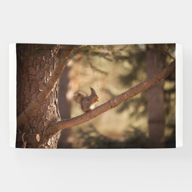 Lona de 3' x 5' (Horizontal)