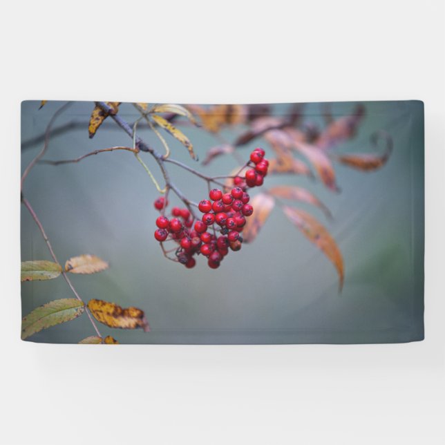 Lona de 3' x 5' (Horizontal)