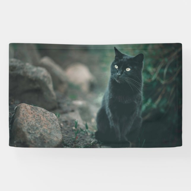 Lona de 3' x 5' (Horizontal)