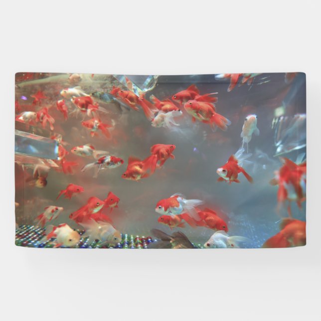 Lona de 3' x 5' (Horizontal)