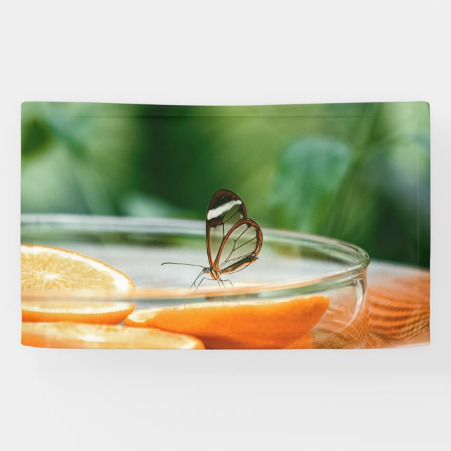 Lona de 3' x 5' (Horizontal)