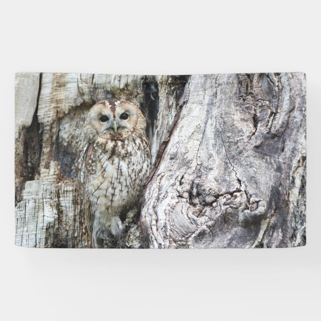 Lona de 3' x 5' (Horizontal)