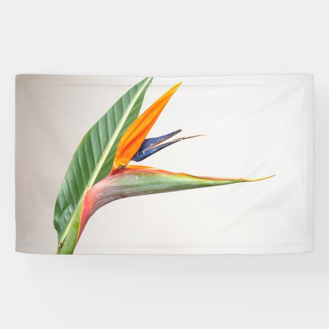 Lona de 3' x 5' (Horizontal)