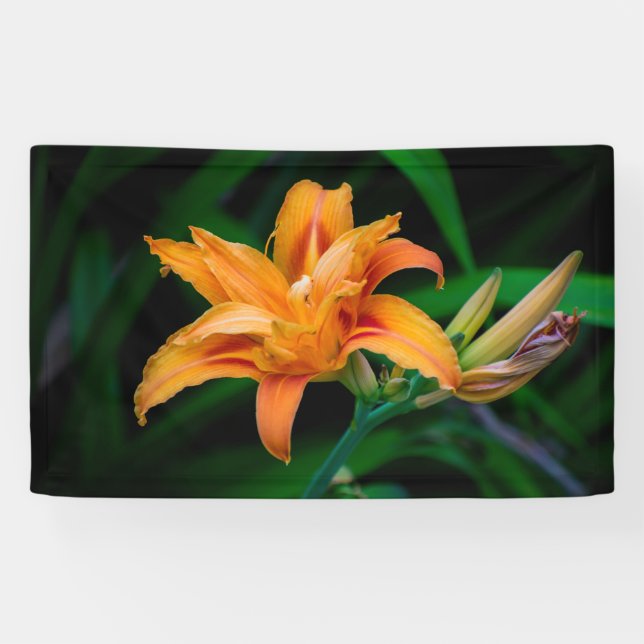 Lona de 3' x 5' (Horizontal)