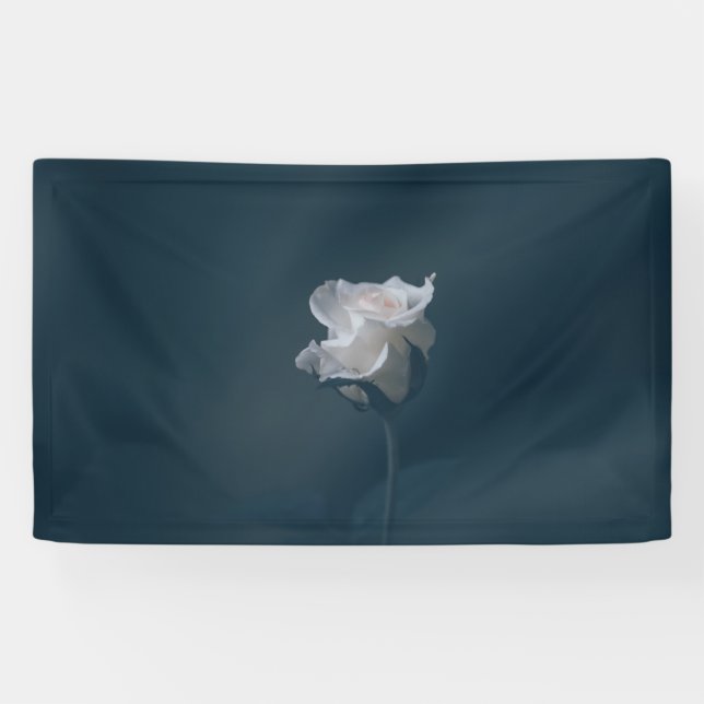 Lona de 3' x 5' (Horizontal)