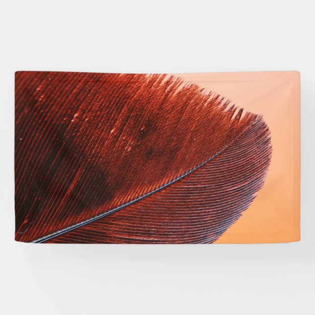 Lona de 3' x 5' (Horizontal)