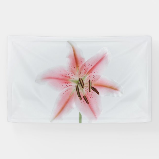 Lona de 3' x 5' (Horizontal)