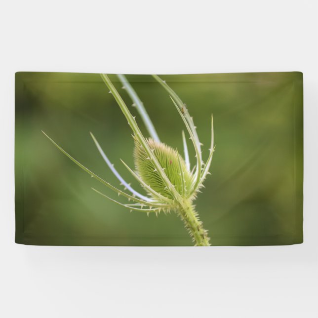 Lona de 3' x 5' (Horizontal)