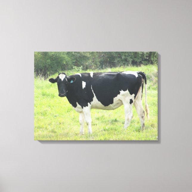 Lona de Arte de Pared con Foto de Vaca Lechera Ado (Anverso)
