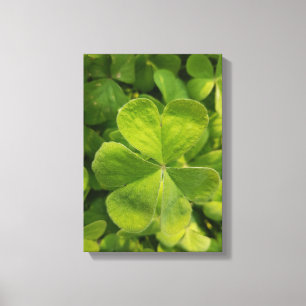 Lona de la foto del arte de la pared del trébol d