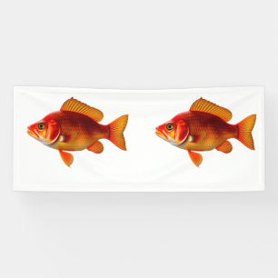 Lona Detailed Illustration of a Red Goldfish