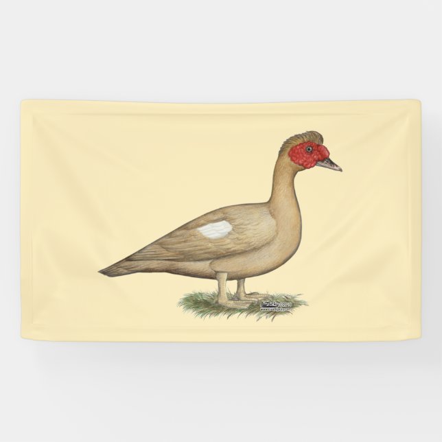 Lona Drake de chocolate ligero para hongos (Horizontal)