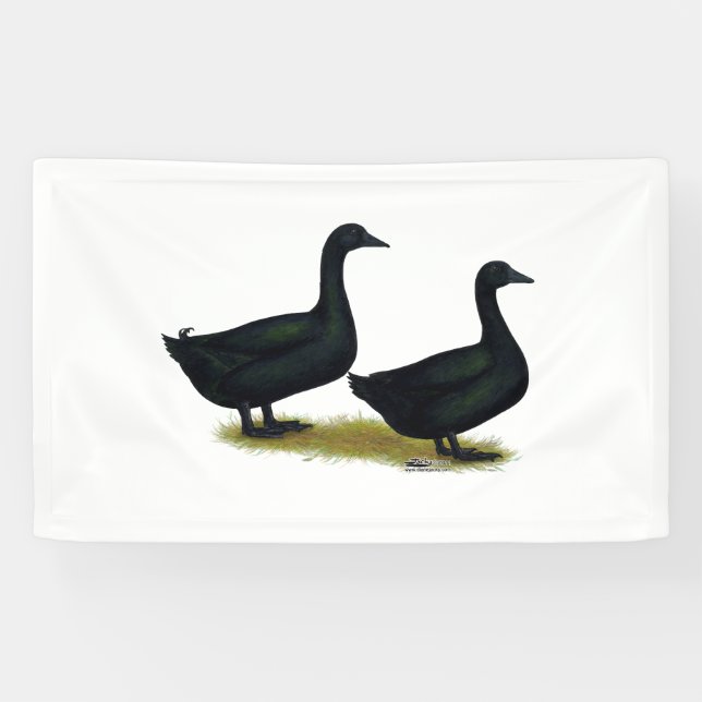 Lona Ducks:  Black Cayugas (Horizontal)