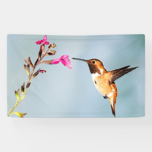 Lona El colibrí salvaje en la naturaleza (Horizontal)